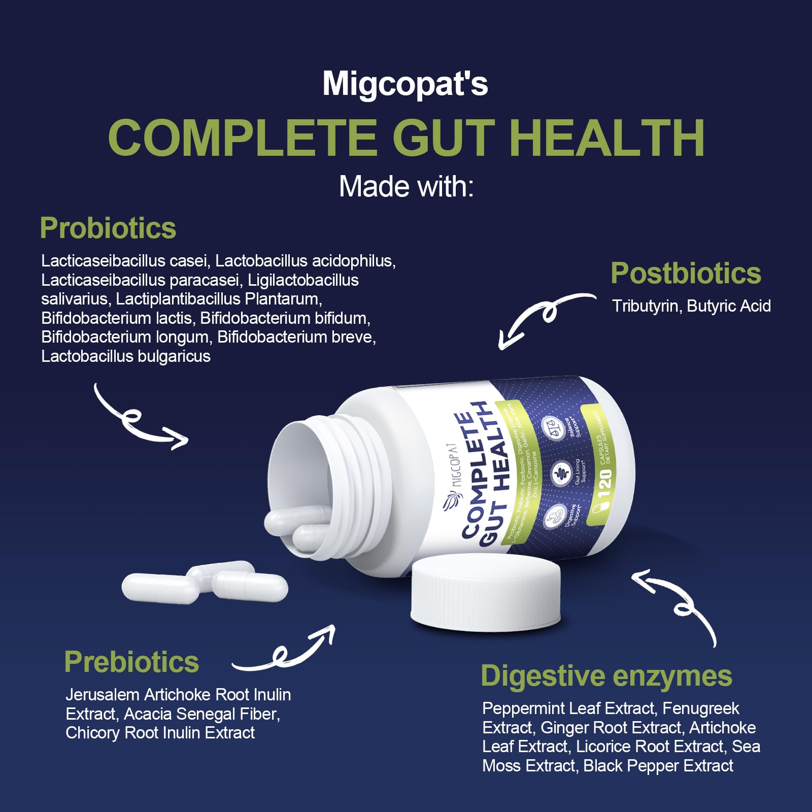 Migcopat ingredients with glutamine and berberine suggest gentle digestive comfort