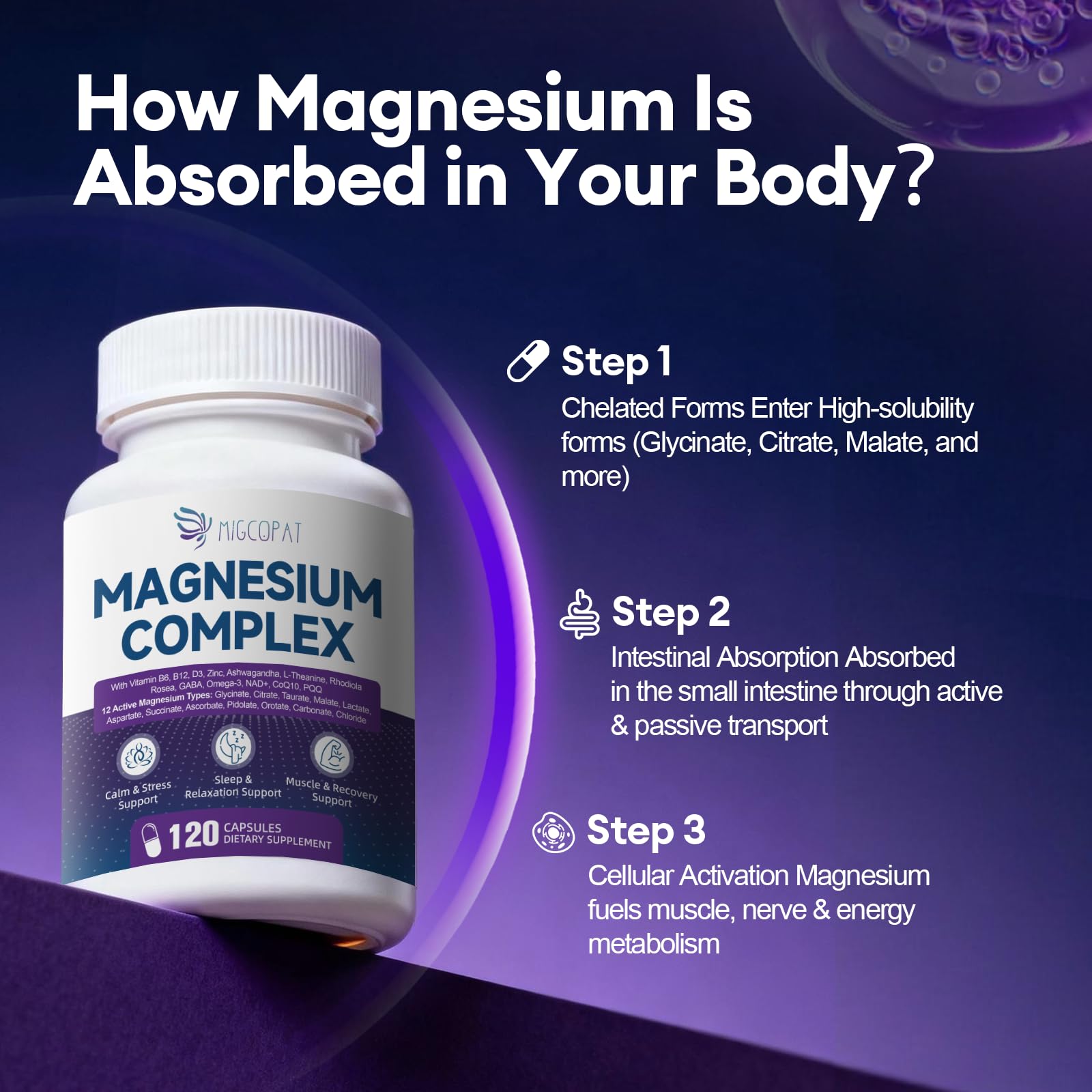 Migcopat blends Ashwagandha and L-Theanine for calm focus support.