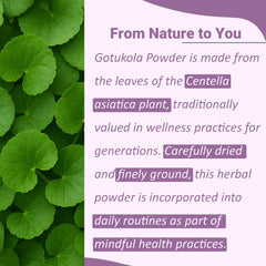 Close-up of Gotu Kola leaves ground into a fine powder ready to blend.
