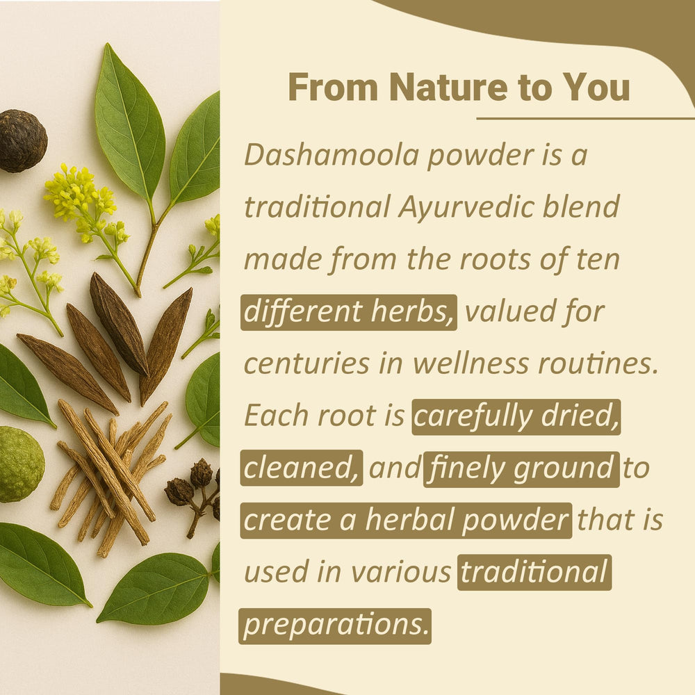 Mi Nature Dashamoola powder bottle highlights ten root blend ideal for herbal teas and blends.