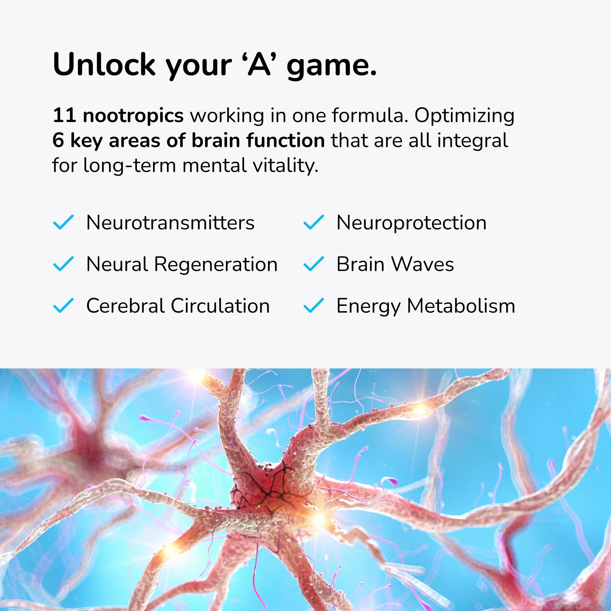 Mind Lab Pro MLP4 label info highlights plant based nutrients for cognitive wellness