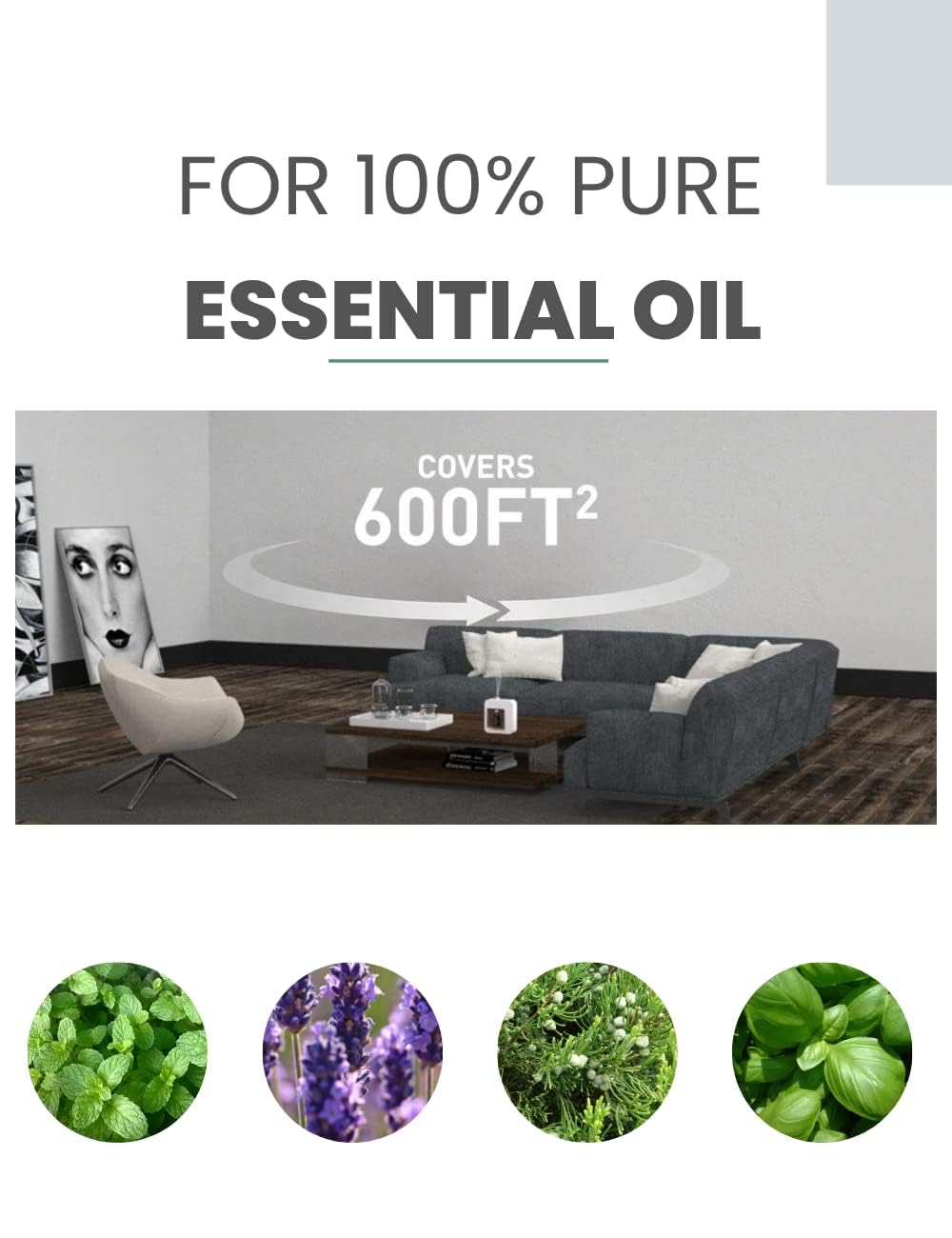 Minidiva Aromatherapy Diffuser supports full spectrum oil adaptability for various oils.