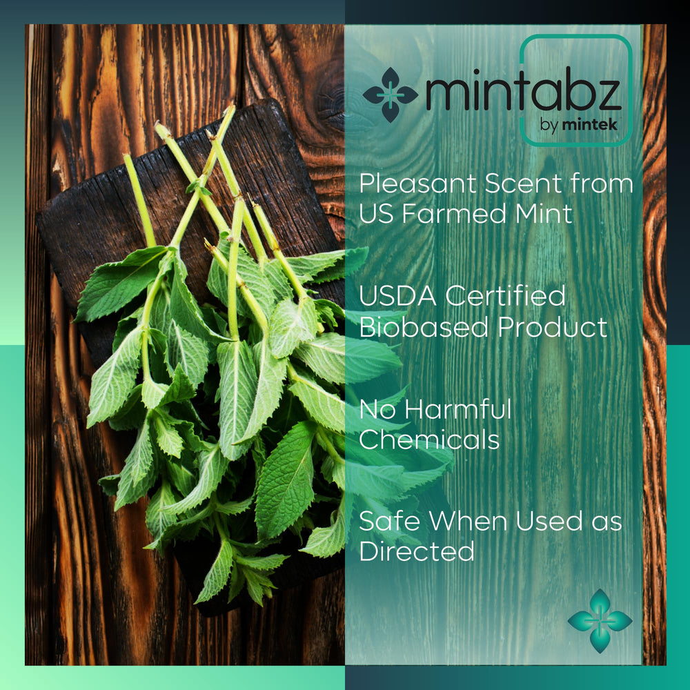 Mintek Mintabz cubes in an RV compartment for portable protection