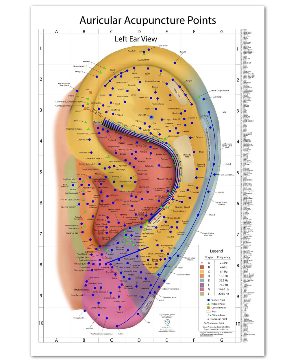Miridia Comprehensive Auriculotherapy Wall Chart left ear view with 240+ points for quick clinical reference.