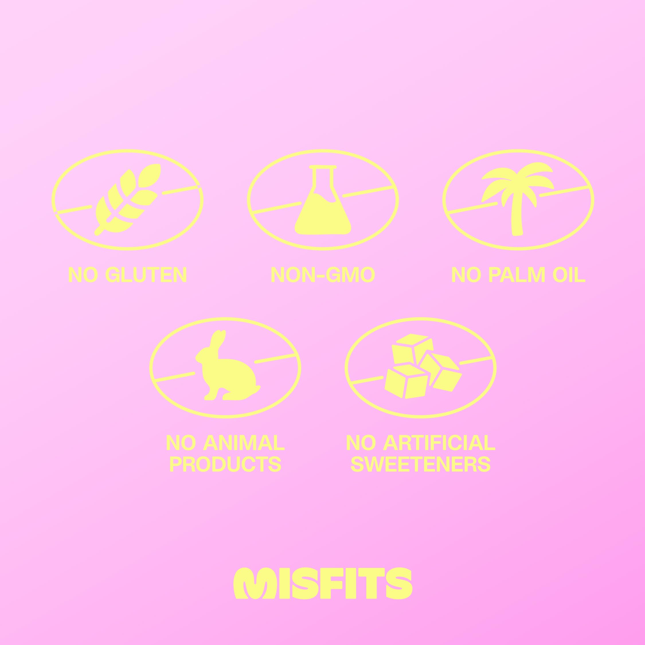 Misfits pack of 12 vegan protein bars for on-the-go snacking