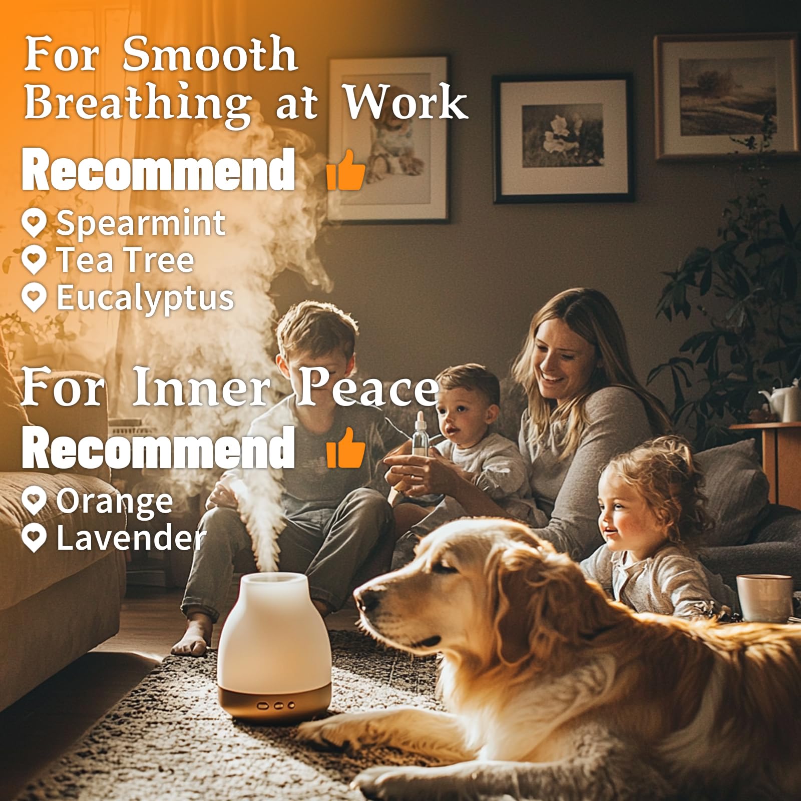 MISiji eucalyptus essential oil bottle for refreshing, clear spaces.