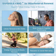 MITIVA Urolithin A softgels for easy daily dosing and ongoing energy.