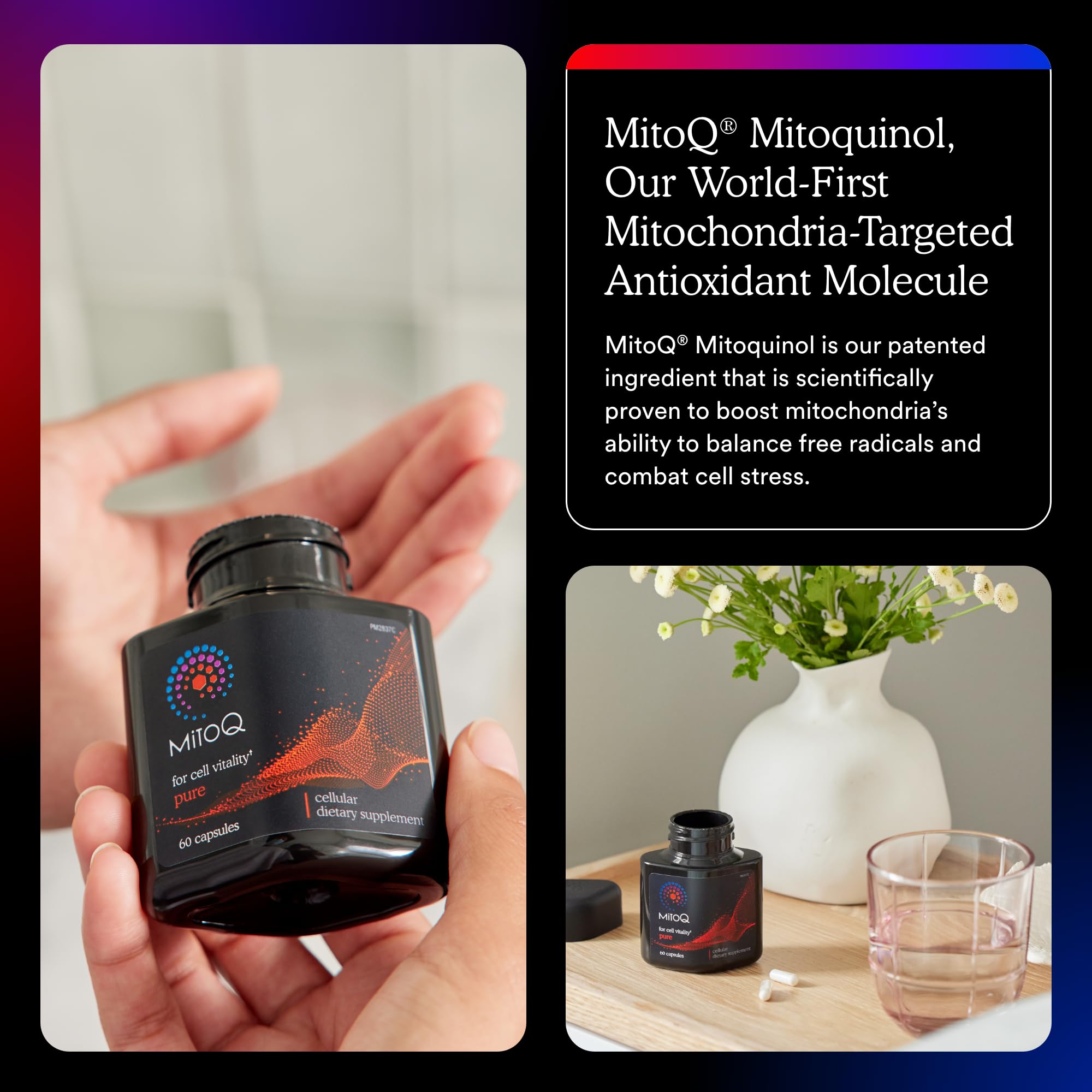 MitoQ Pure clinical studies montage conveys credibility and research-backed approach to healthy aging.