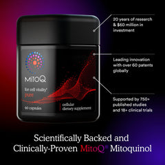 MitoQ Pure daily-dose table image communicates practical usage for consistent mitochondrial support.