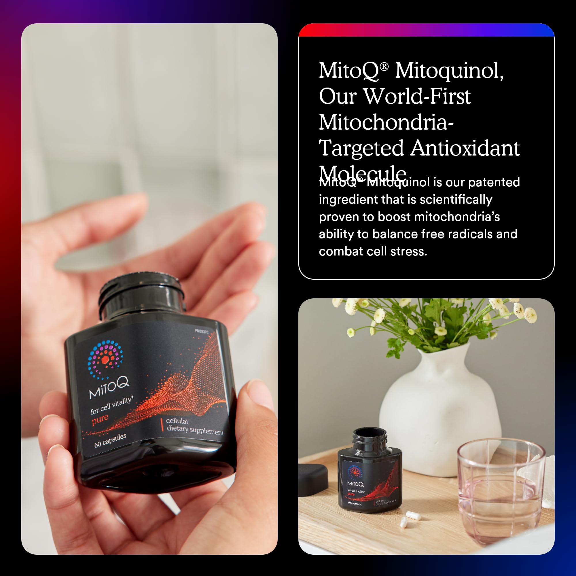 MitoQ Pure packaging on display emphasizes GMP certification and clinician trust.