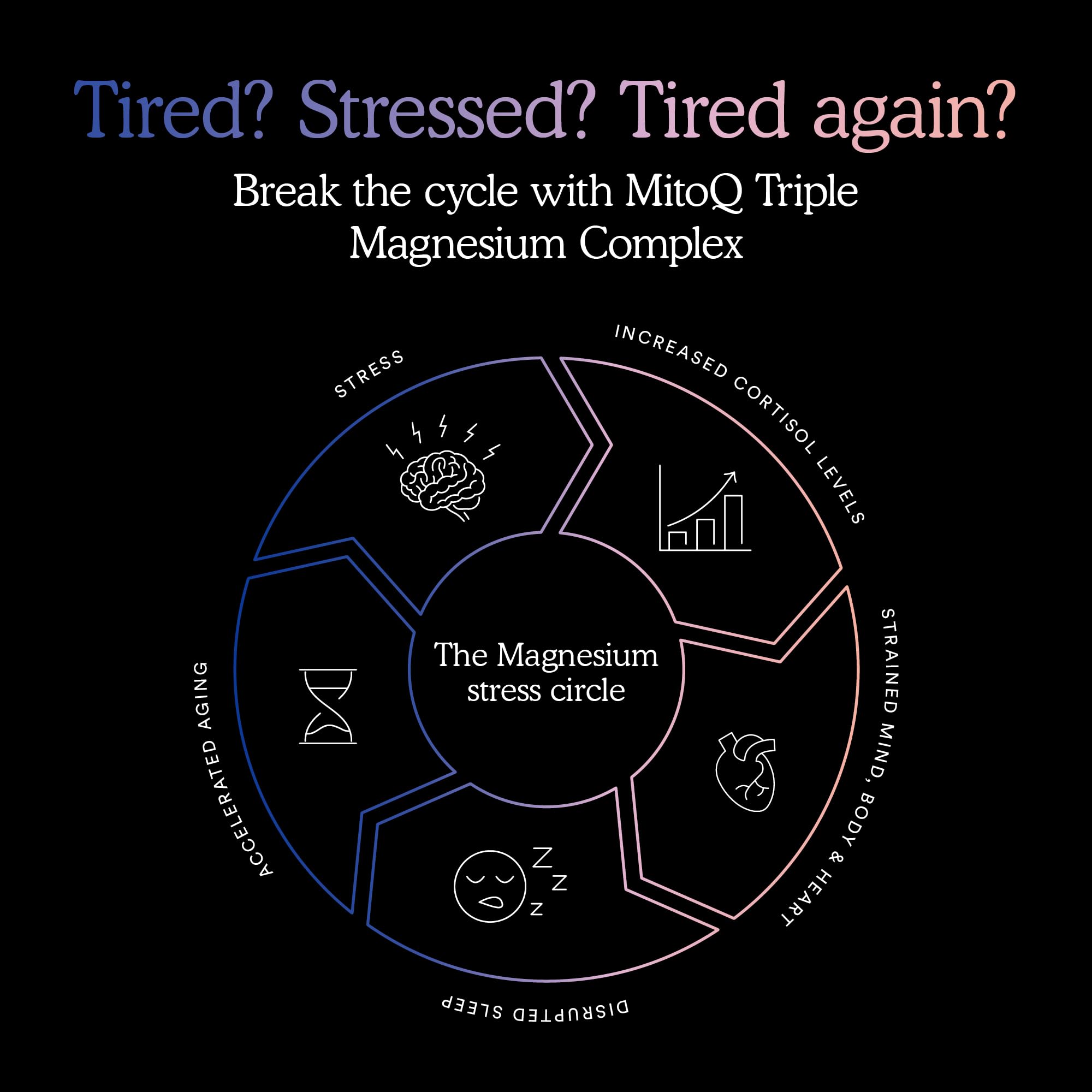 MitoQ Triple Magnesium Complex packaging front indicating premium quality.