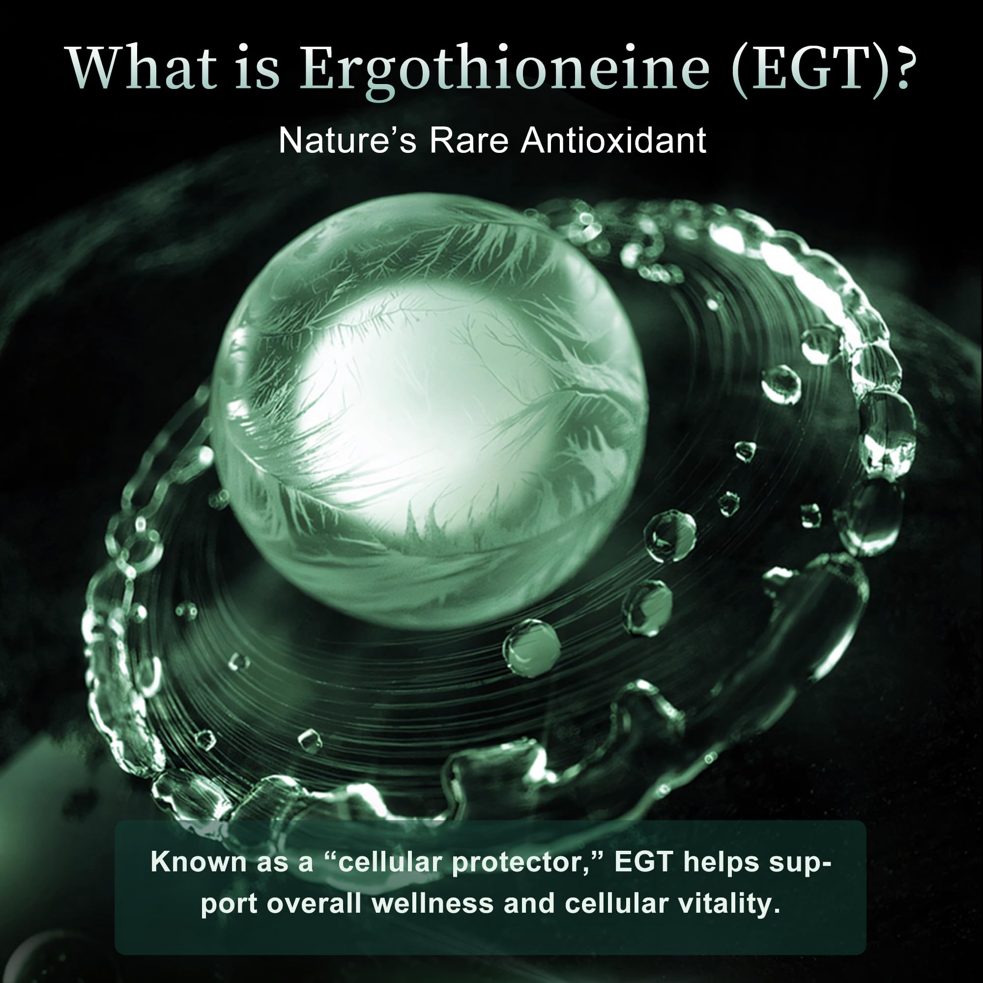 MixPower EGT 70mg capsules packaging box reflects lab-tested quality promise.