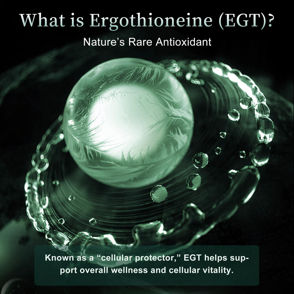 MixPower EGT 70mg capsules packaging box reflects lab-tested quality promise.