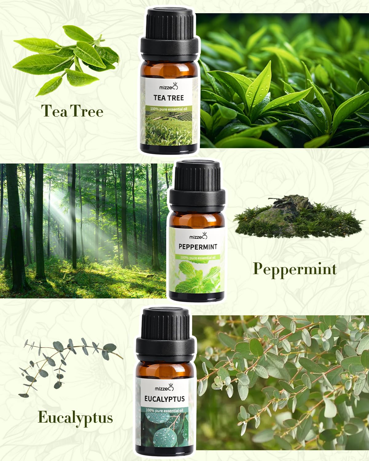 MIZZEO peppermint essential oil bottle invigorates diffuser sessions and alertness