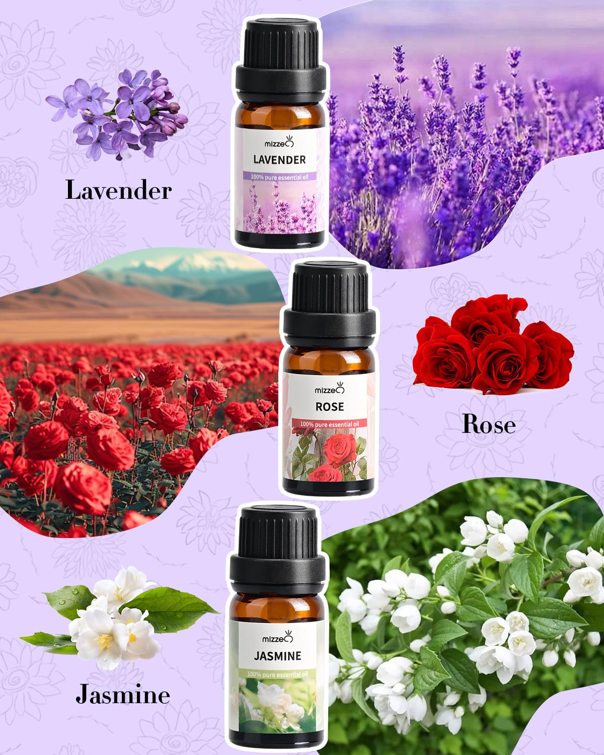 MIZZEO Jasmine essential oil bottle with uplifting floral notes for diffusers.