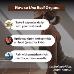 MK Supplements beef organ heart and kidney capsules arranged for daily routine.