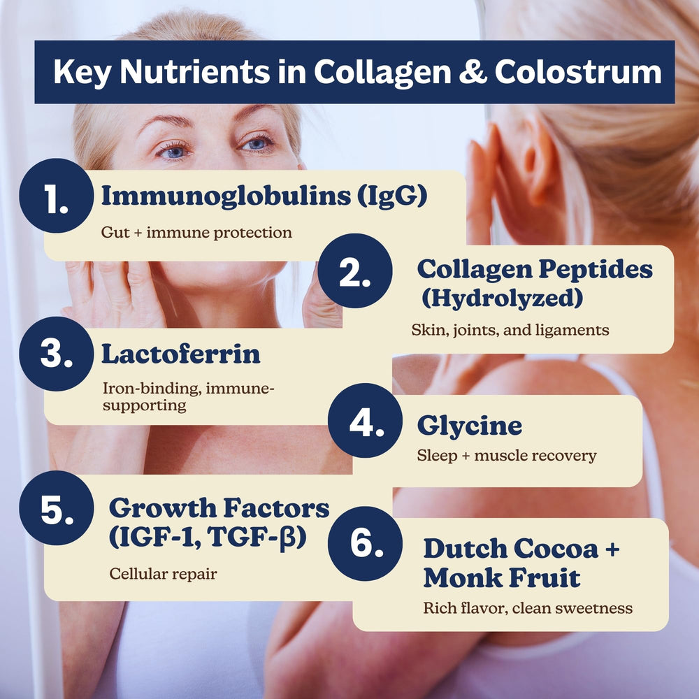 MK Supplements collagen-colostrum-chocolate-bottle sits on kitchen shelf for convenient daily nourishment.