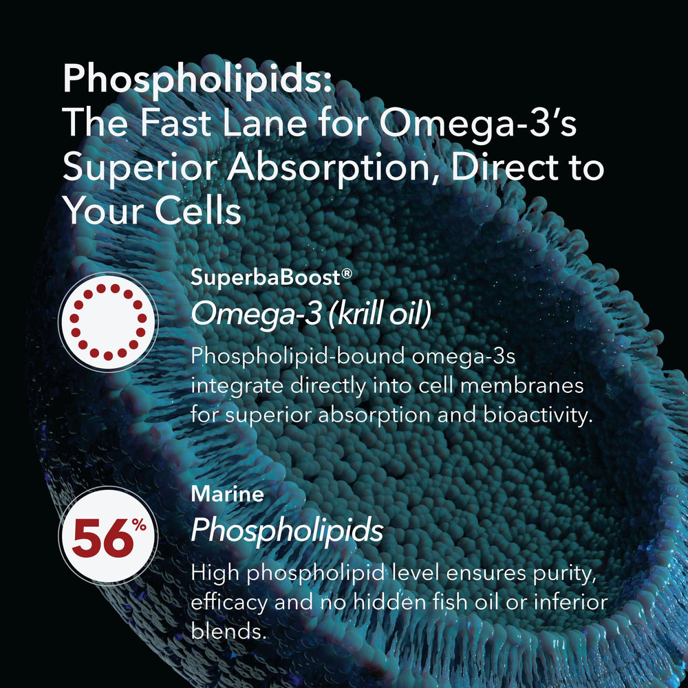Mobisyn Krill Oil capsule closeup emphasizes high phospholipid content and quick absorption.
