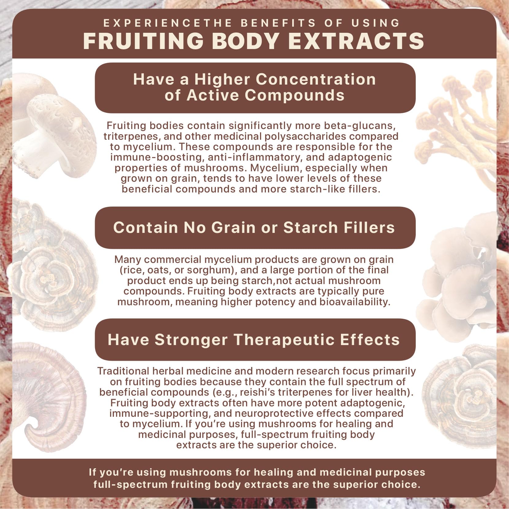 Modern Sage mushroom coffee-mix serving image demonstrates convenient wellness ritual.