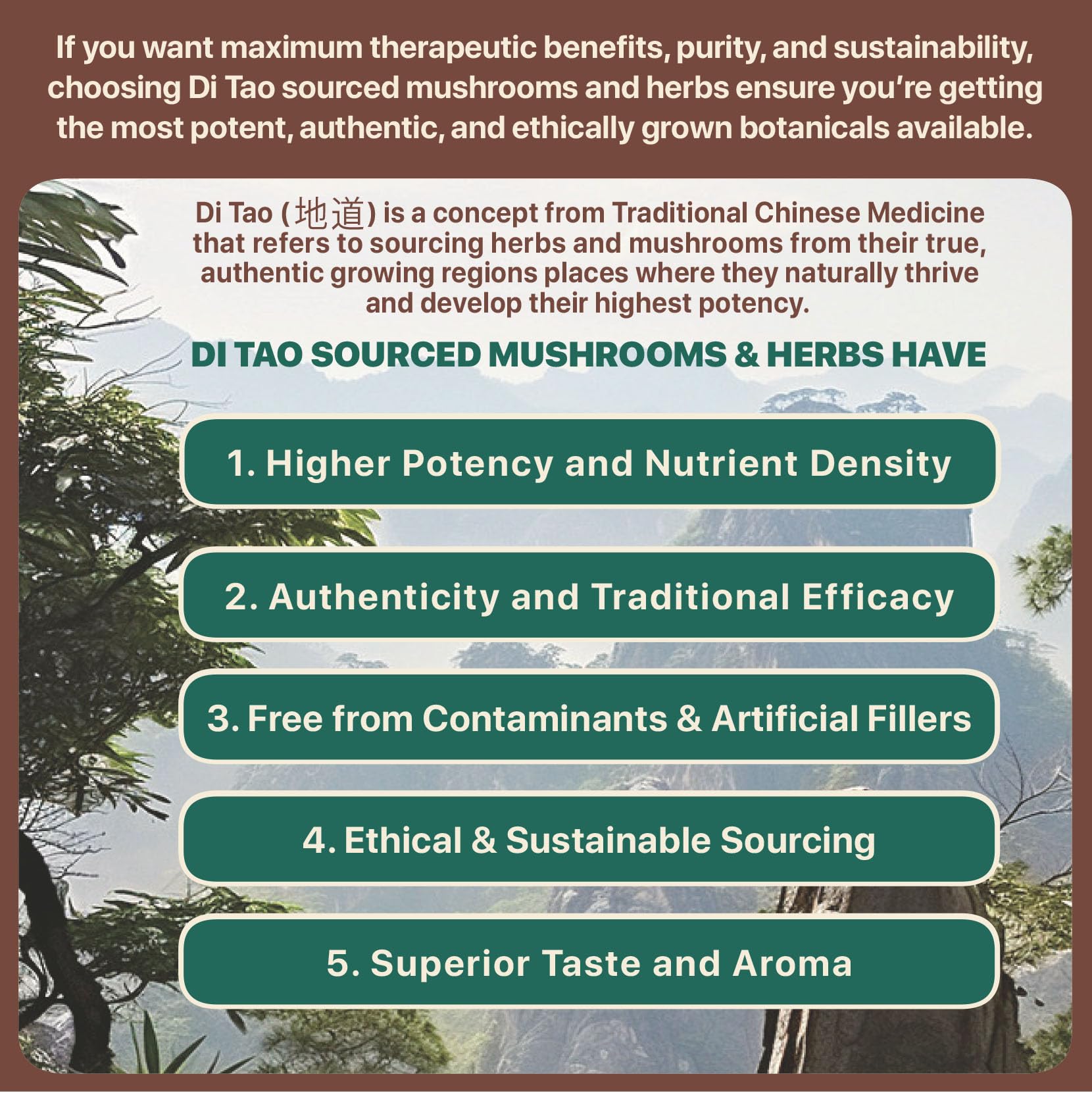 Modern Sage label closeup highlighting organic quality and extract strength.