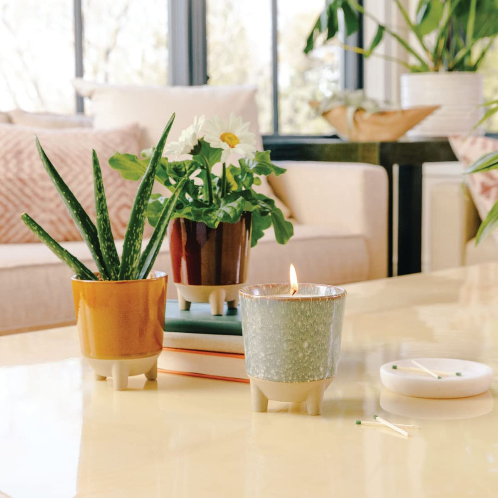 Modern Sprout Glow and Grow reusable ceramic vessel supports ongoing plant life.