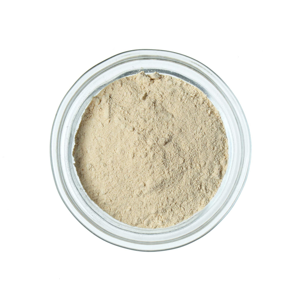Modernist Pantry sunflower lecithin powder texture close-up highlights fine emulsifying powder for modernist cooking.