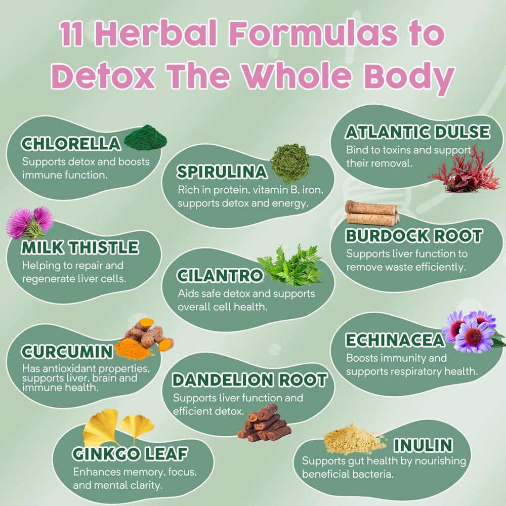 Molorik Pure herbal detox ingredients including cilantro and chlorella