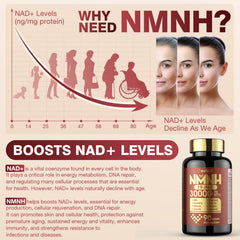 Molorik Pure 19in1 NMNH bottle back shows supplement details for cognitive well-being.