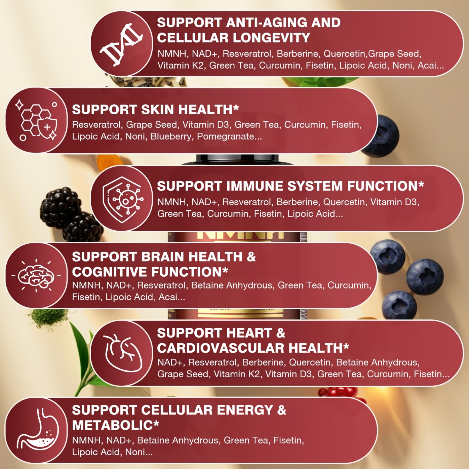 Molorik Pure NMNH ingredient panel reveals 19-in-1 blend for wellness.