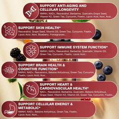 Molorik Pure NMNH ingredient panel reveals 19-in-1 blend for wellness.