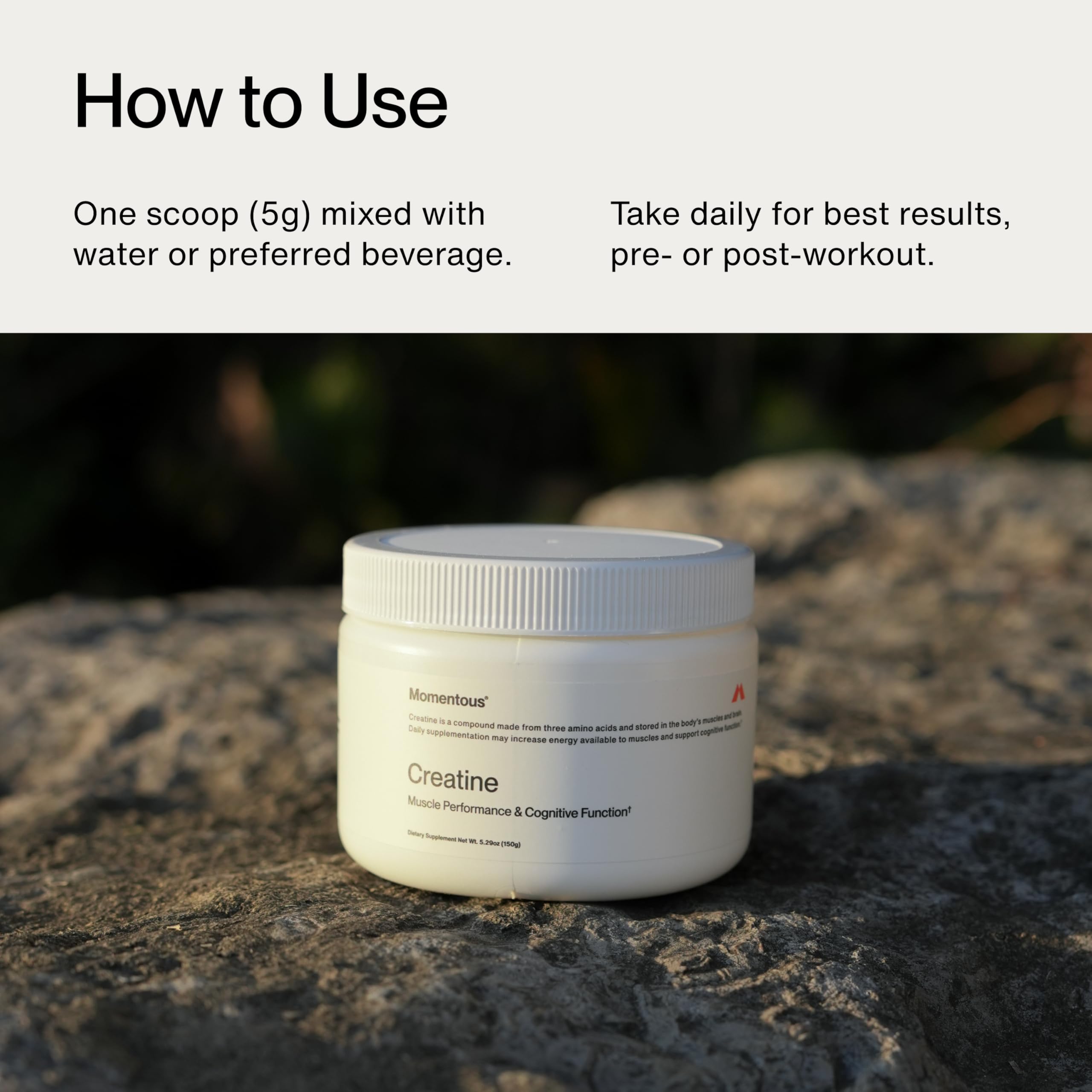 Momentous Creatine Monohydrate Powder placed in gym bag for on-the-go workouts.