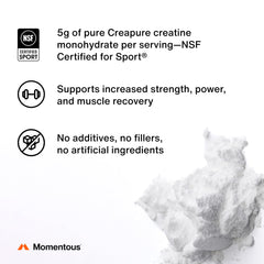 Momentous Creatine Powder scoop-dispense demonstrates easy daily usage for athletes.