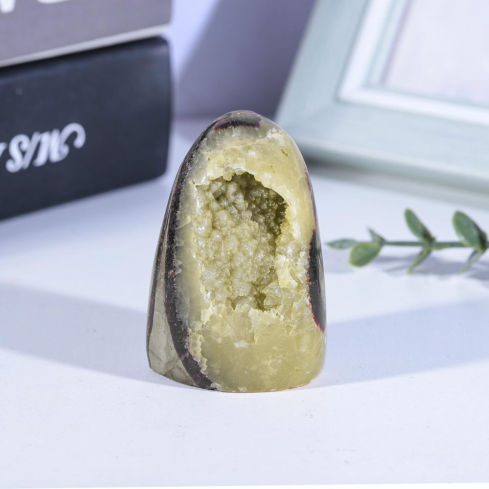 Mookaitedecor septarian dragon geode flat-base design for stable display