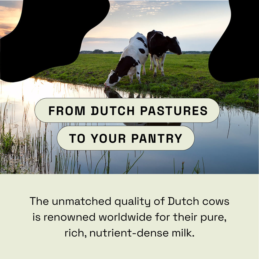 MOOVE grass-fed Dutch cows pasture highlighting natural source.