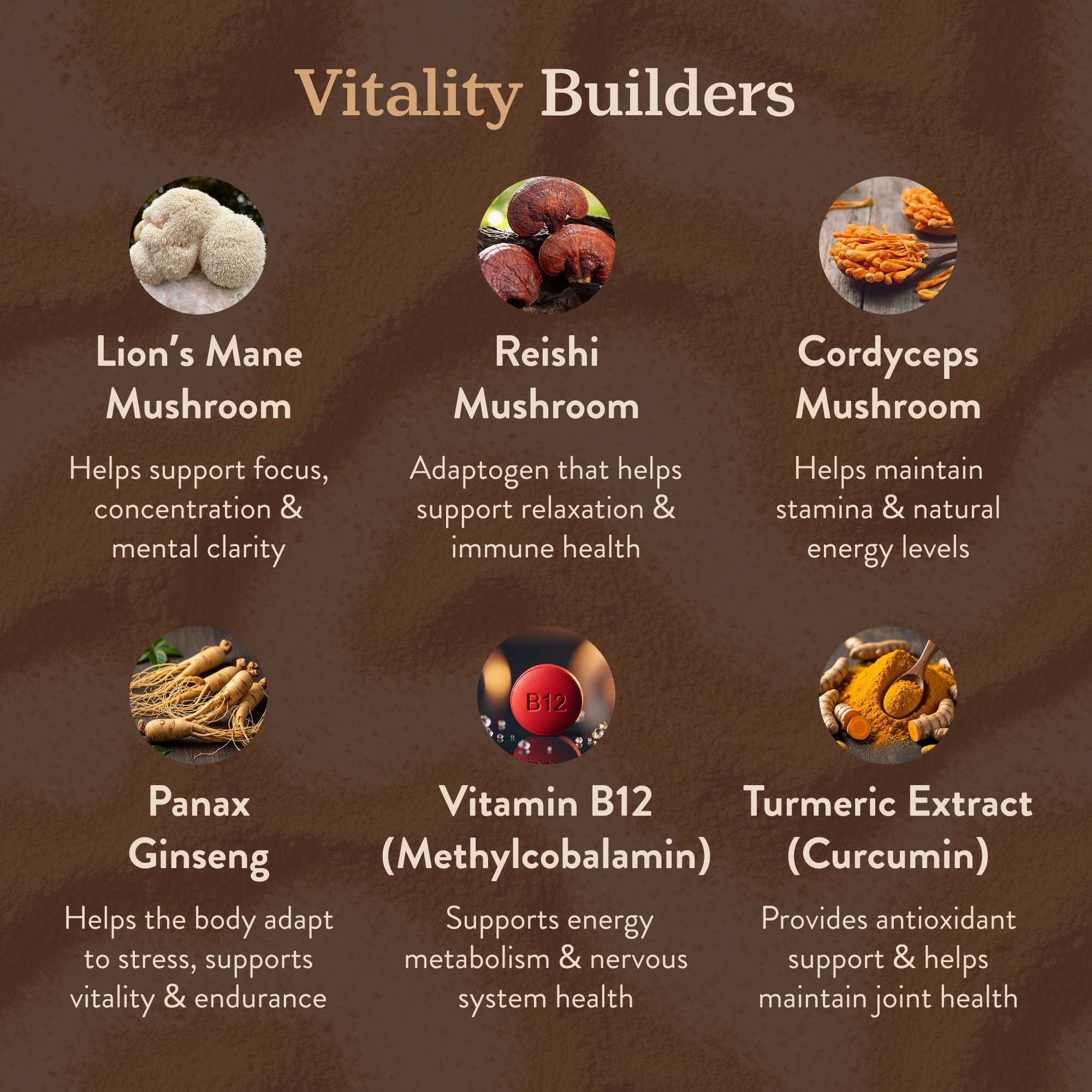 More. Longevity & Wellbeing fruiting body extracts for premium mushroom benefits