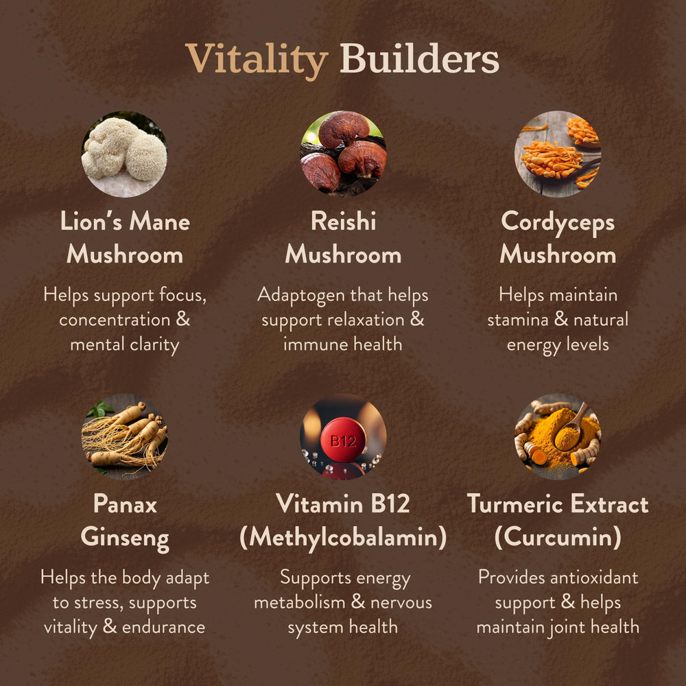 More. Longevity & Wellbeing fruiting body extracts for premium mushroom benefits