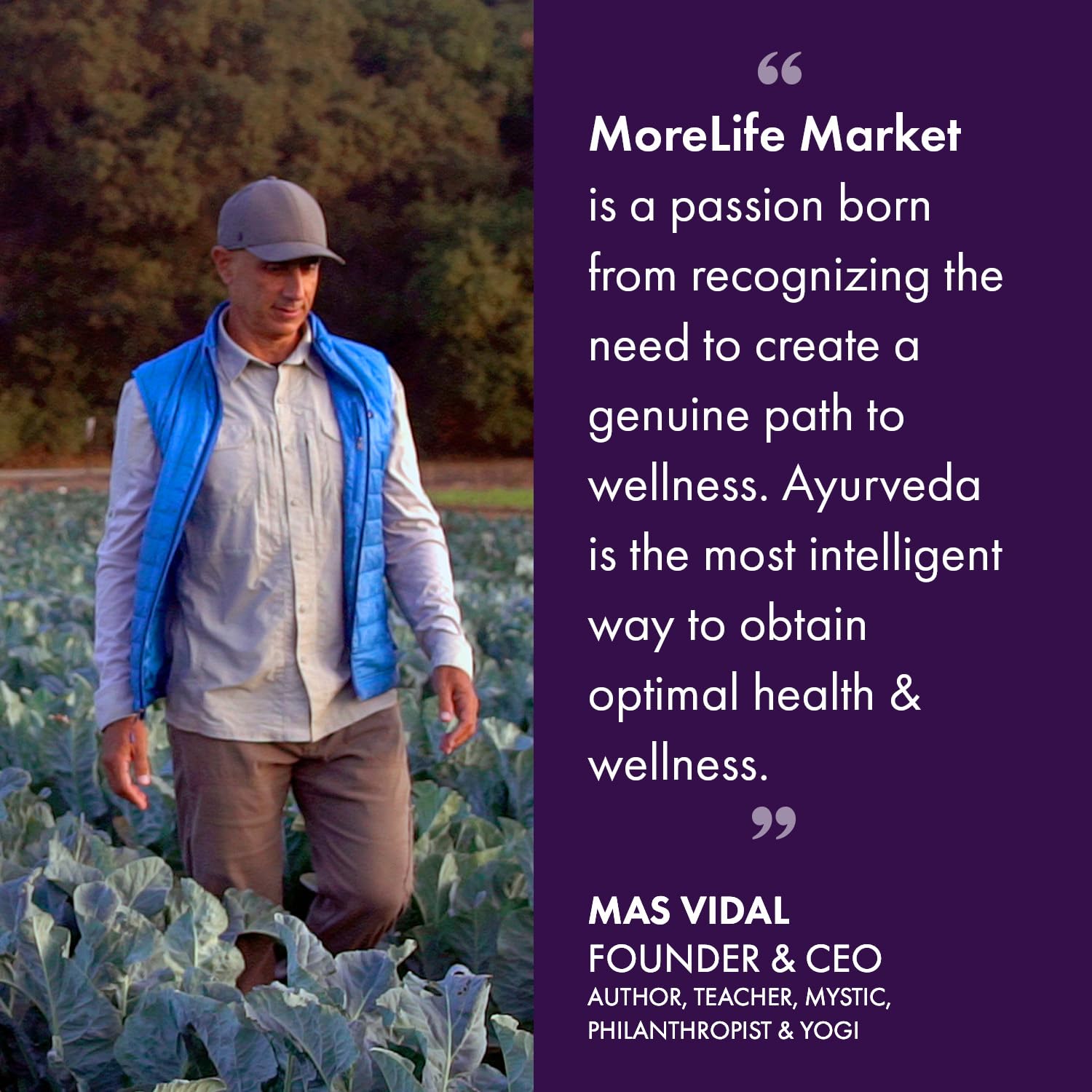 MoreLife Market Ayurvedic herbs pack emphasizing balanced dosha support.