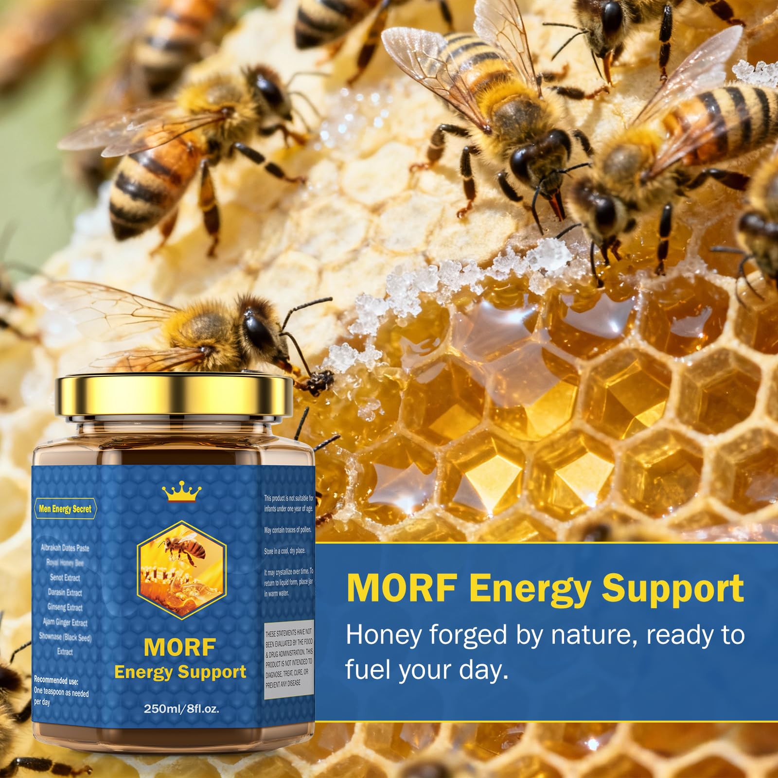MORF Energy Support jar back view with transparent ingredients list.