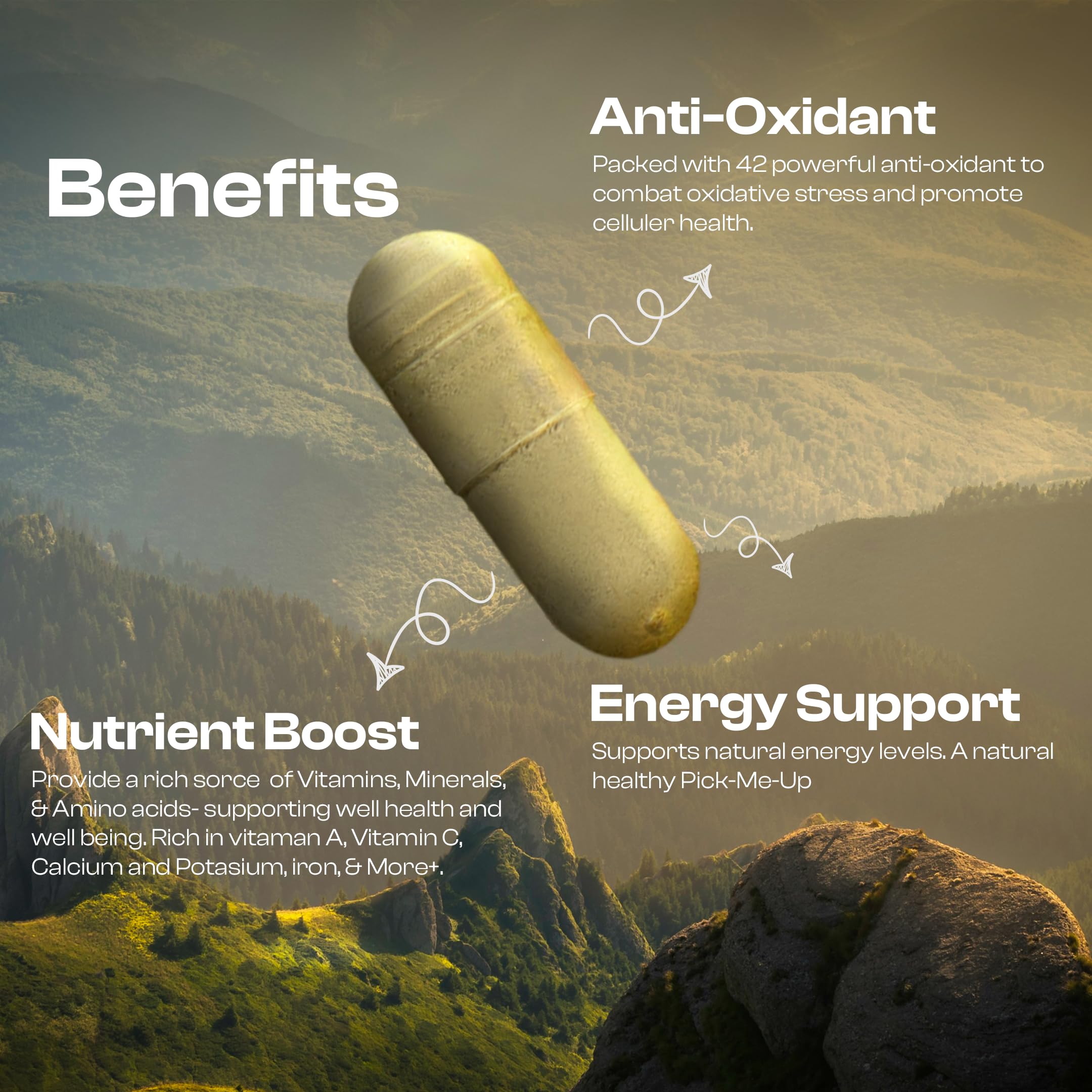 MoringaSoul label shows ingredients and nutrition for informed choices
