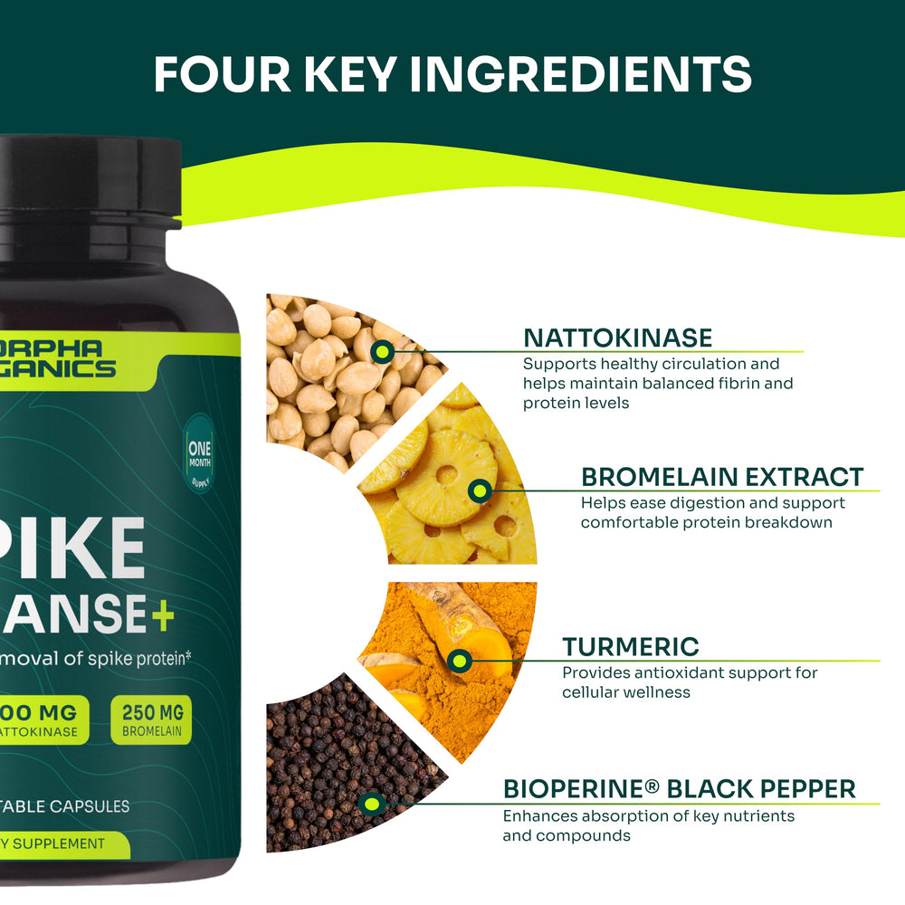 Morpha Organics immune-balance visual emphasizes formula supporting digestive comfort