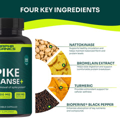 Morpha Organics immune-balance visual emphasizes formula supporting digestive comfort