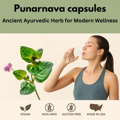 Punarnava capsules close-up showing plant-based formula for natural balance.