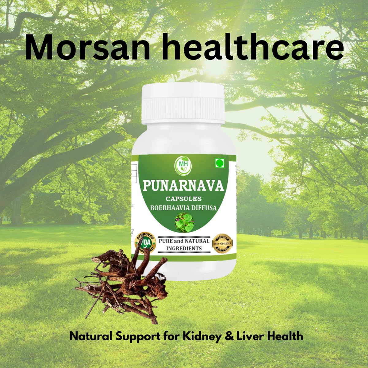 Punarnava root image emphasizes herbal, plant-based origin.