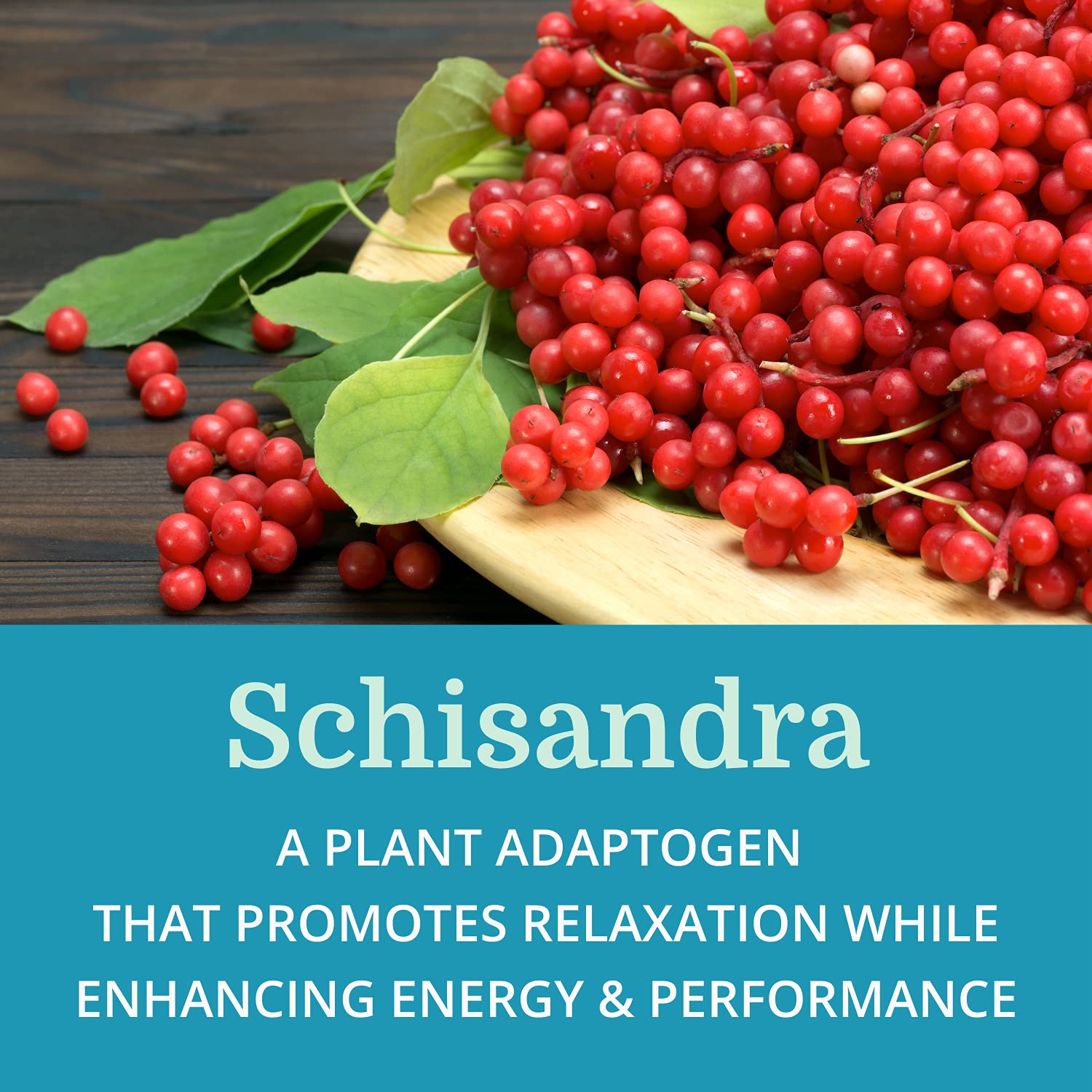 Morter HealthSystem Adrenergy ingredients chart showcases adaptogens and antioxidants.