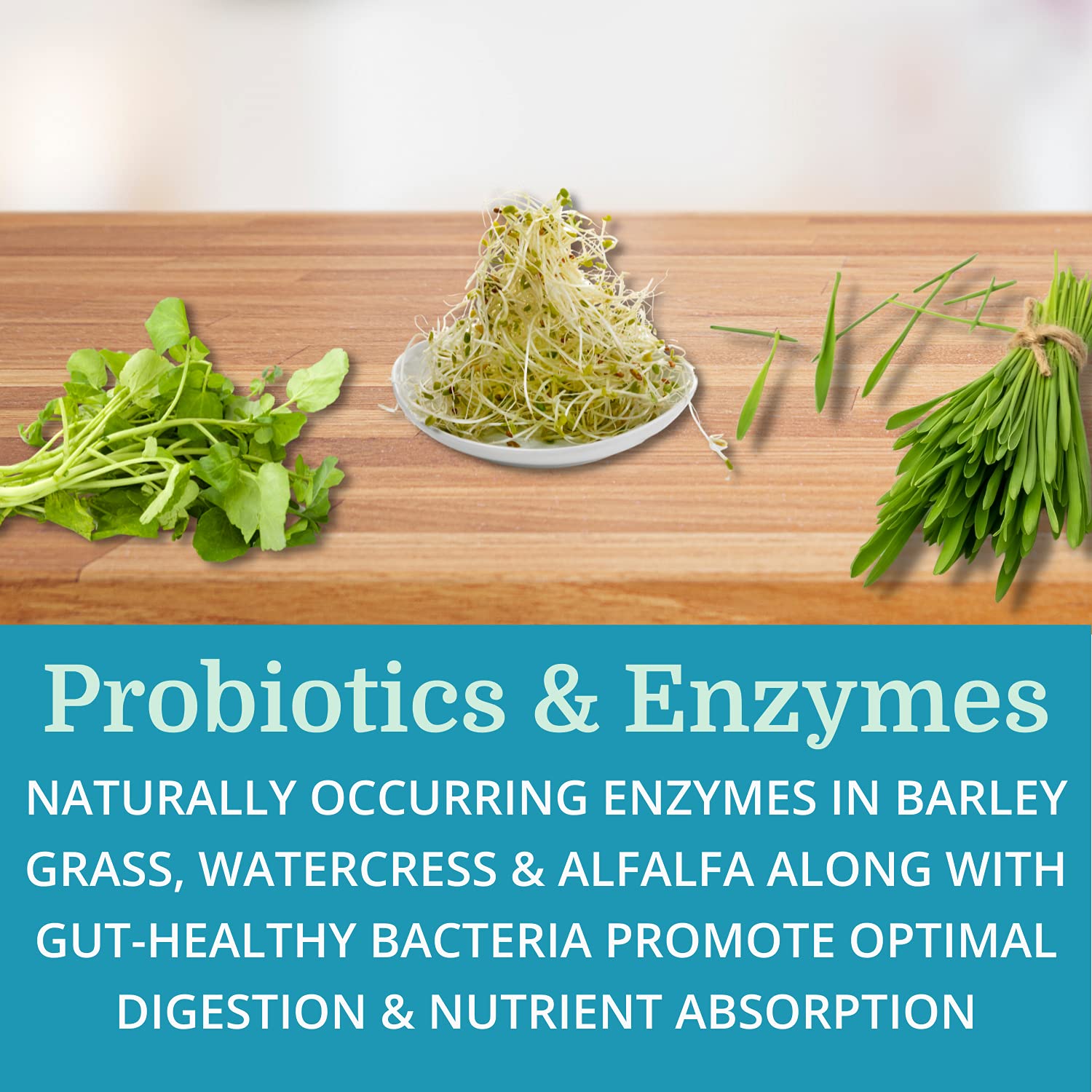 Morter HealthSystem AlkaCleanse probiotics capsules for gut balance.