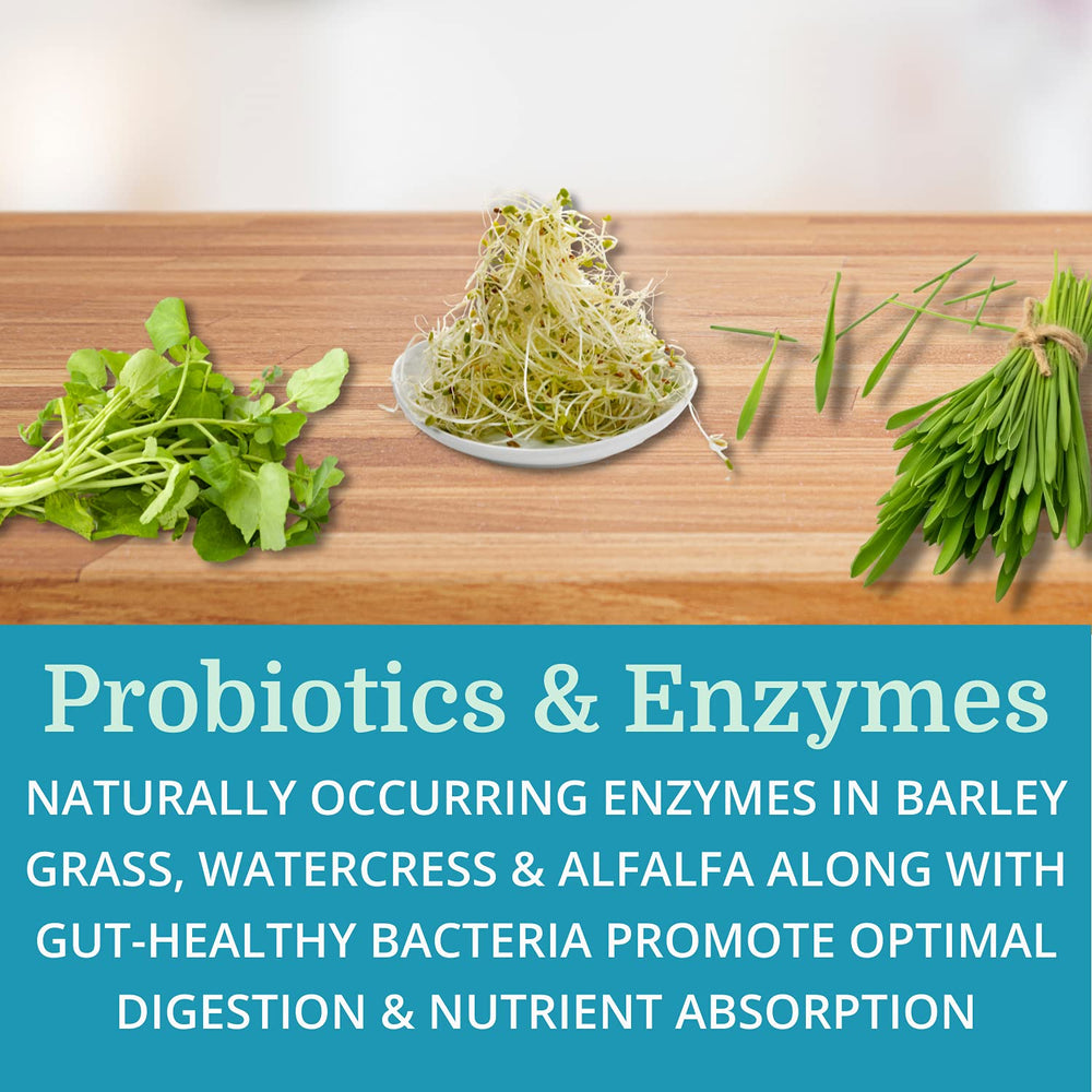 Morter HealthSystem AlkaCleanse probiotics capsules for gut balance.