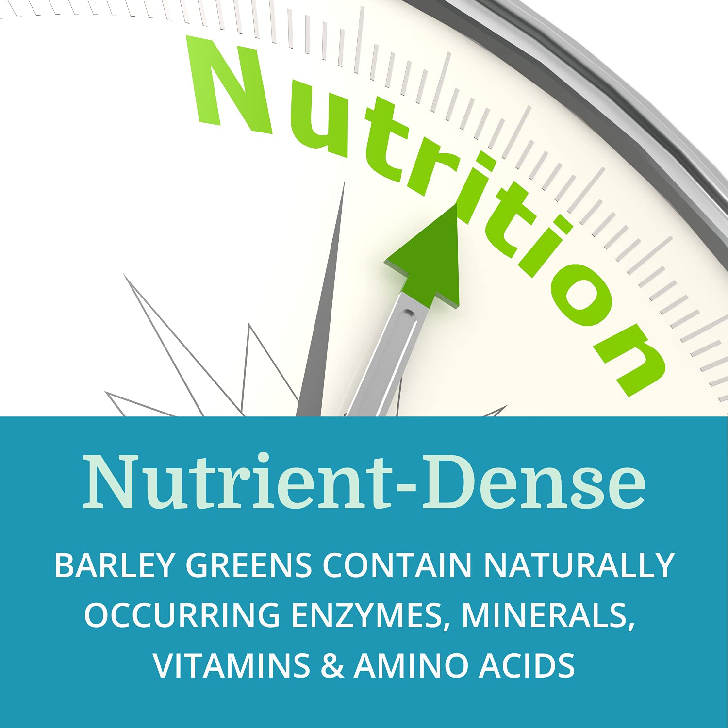 Morter HealthSystem AlkaGreen sourced from organic farms supports clean ingredients.