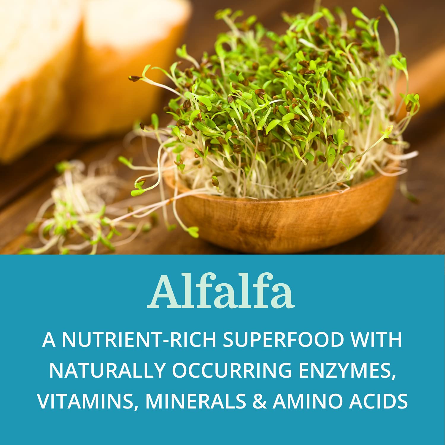 Morter HealthSystem SuperDigest blend with alfalfa suggests antioxidant-rich nourishment.