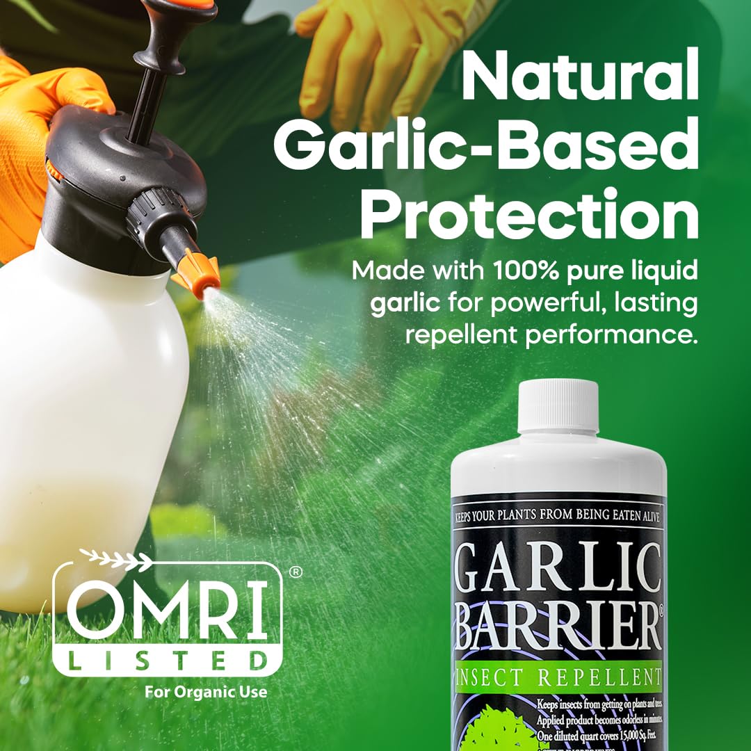 Garlic Barrier liquid spray ready for field application on crops.