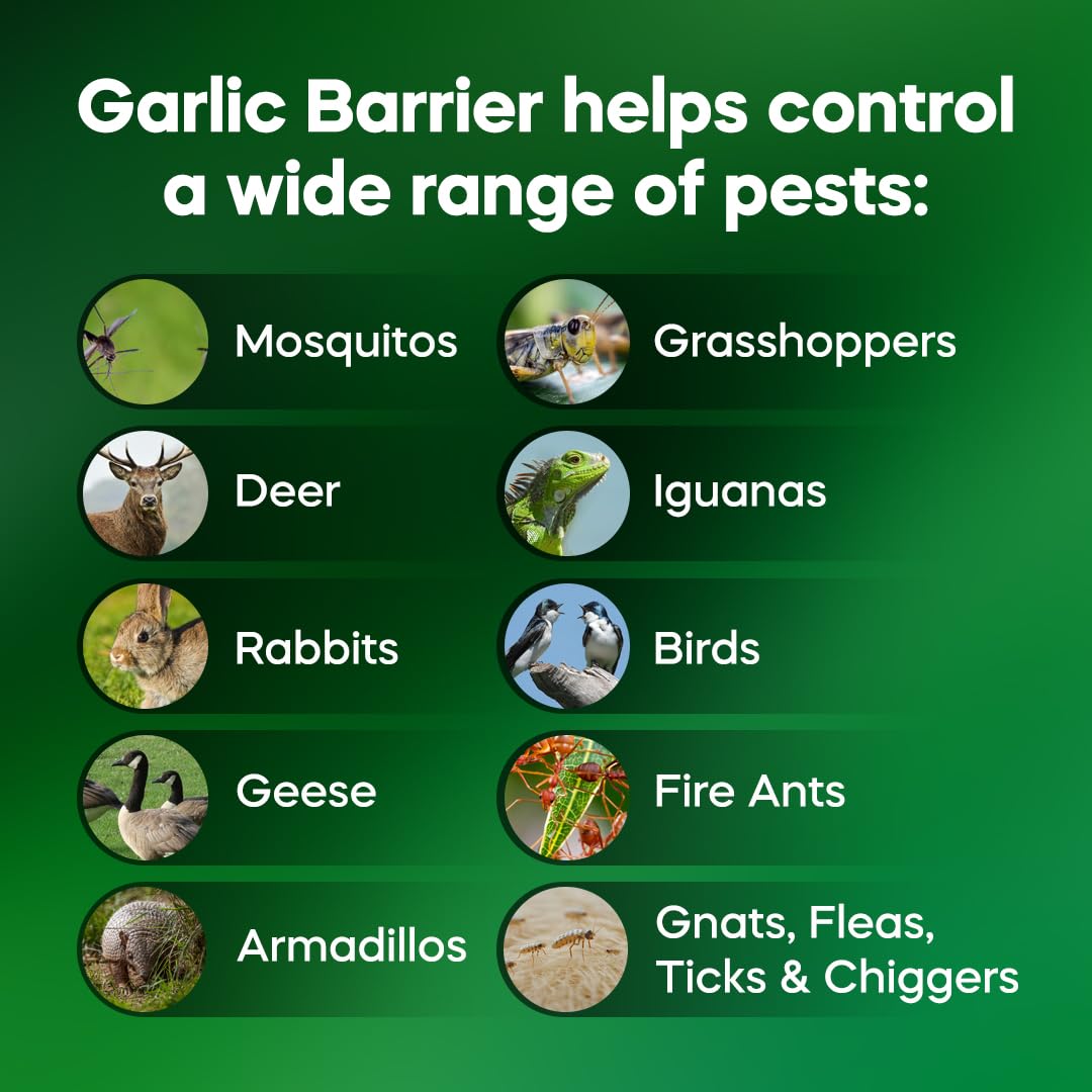 Garden-ready pest protection with Garlic Barrier for home lawns.